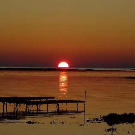 Apartment Au Pied Des Dunes