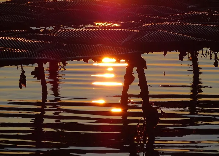 شقة Au Pied Des Dunes *